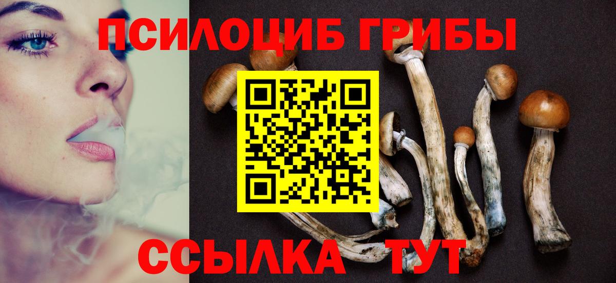 Псилоцибиновые грибы мицелий Прохладный