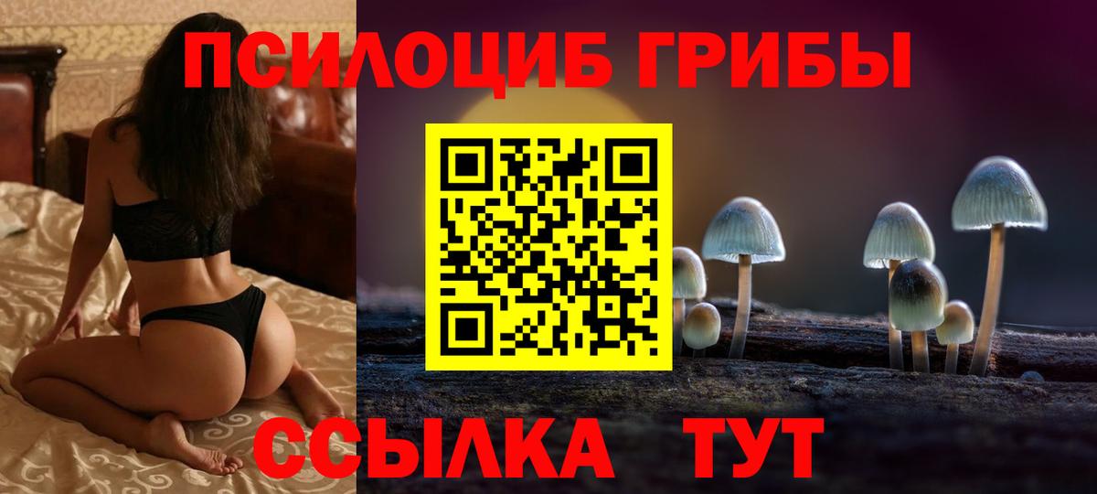 Прохладный  Галлюциногенные грибы Cubensis  Вход с VPN 